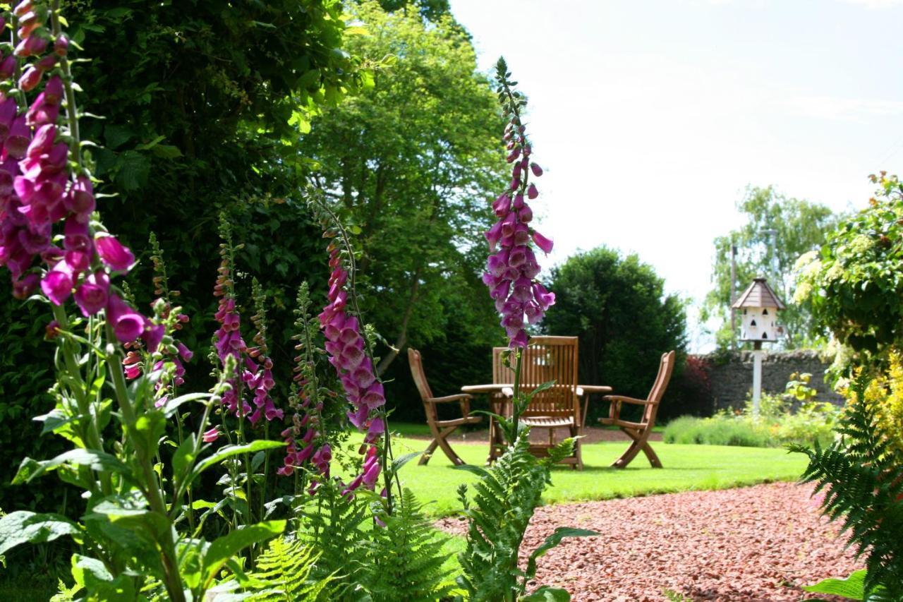 The Old Parsonage Country House Berwick Upon Tweed Eksteriør bilde
